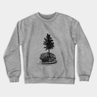 Tree and flowerbed. City landscape on your things. Crewneck Sweatshirt